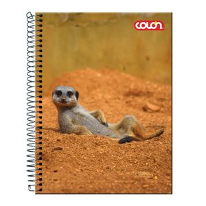 Cuaderno Top Lito 7mm 120h