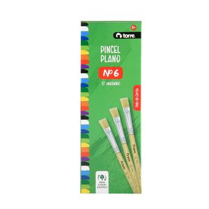 Pincel Plano N° 6