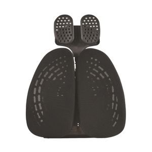 Soporte Lumbar Energyback Ajustable Pro