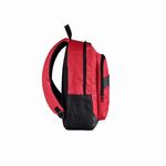 35535_BPK. ZONDA - BURGUNDY 30L  -5-
