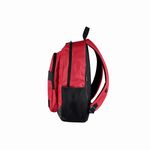 35535_BPK. ZONDA - BURGUNDY 30L  -6-